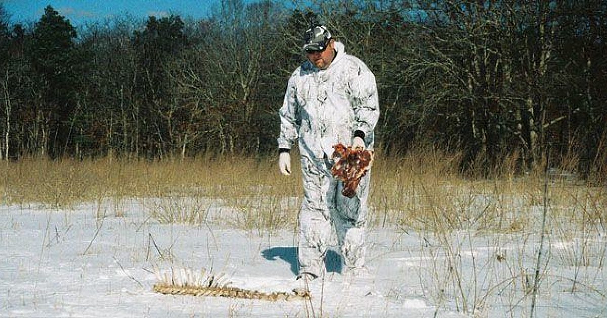 Predator Baiting and Hunting Tactics | Grand View Outdoors