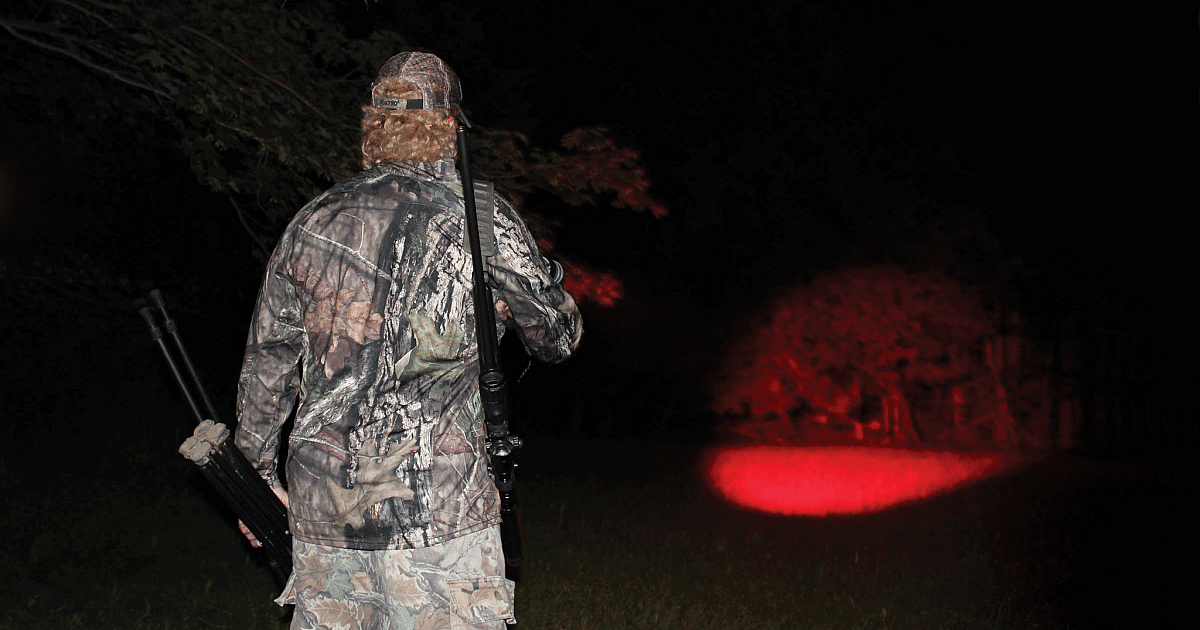 The Art of Light Scanning | Grand View Outdoors