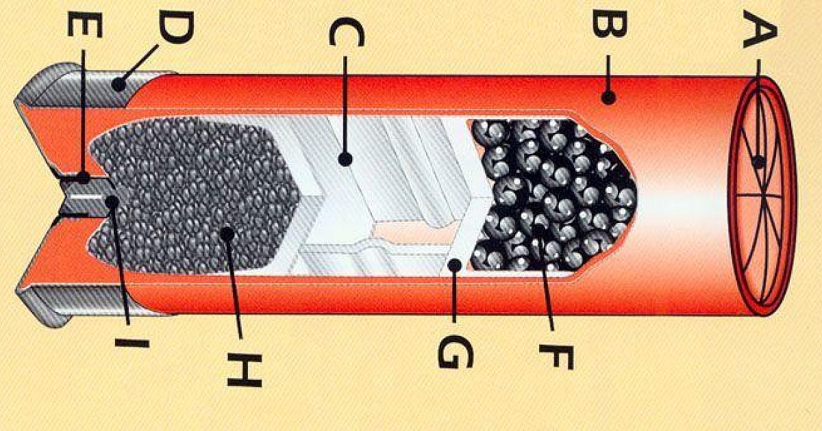 Shot Shell Path Shotgun Shell Diagram: What Is Inside a Shotgun… | Grand View Outdoors