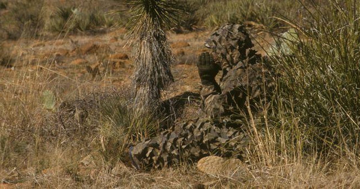 Sounds of Spring Coyote Hunting | Grand View Outdoors