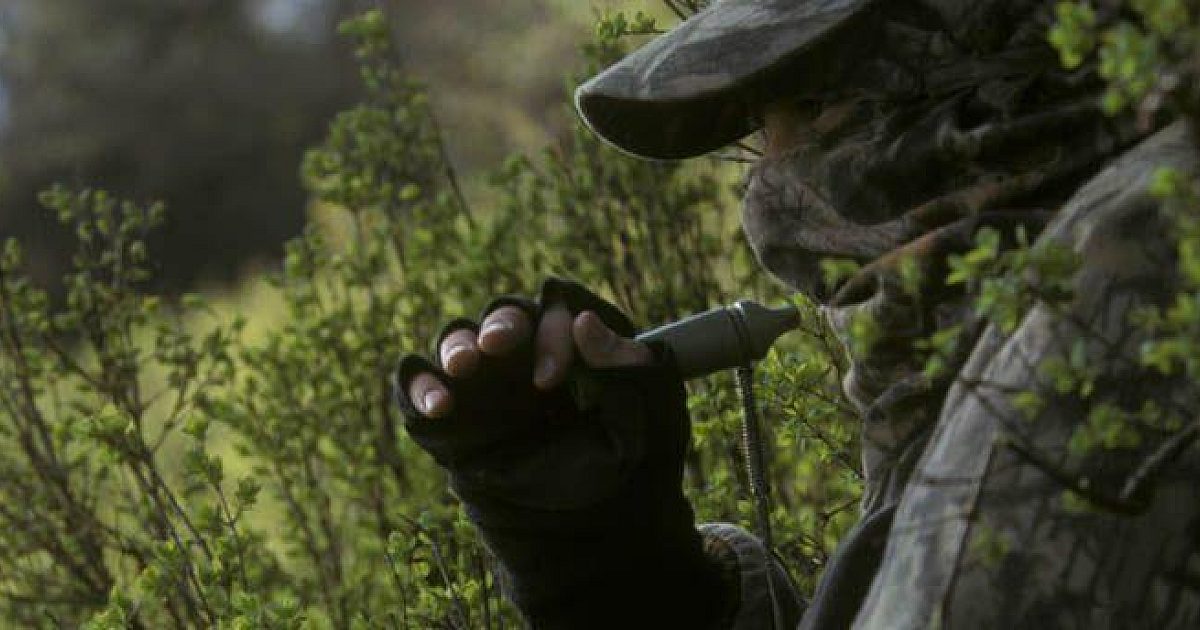 Spring is the Time for Predators | Grand View Outdoors