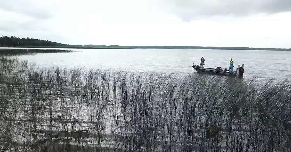 Video: How to Catch Summertime Bass in Reed Beds | Grand View Outdoors