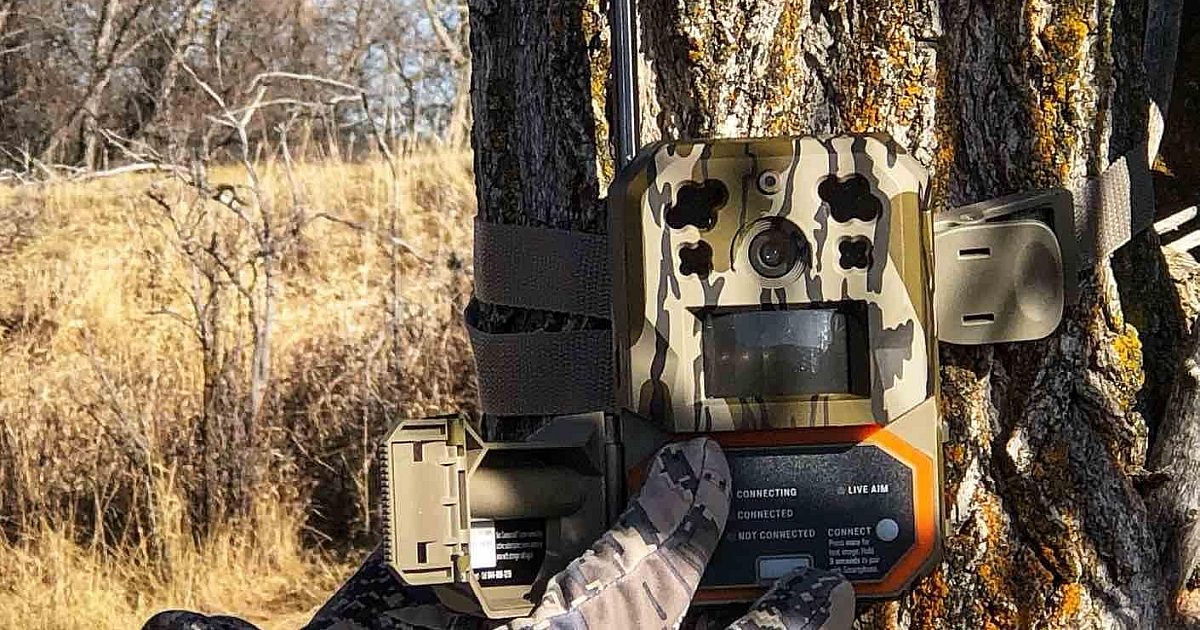 The Worth and Curse of Cellular Trail Cameras | Grand View Outdoors