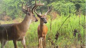 08290460 181003 161645