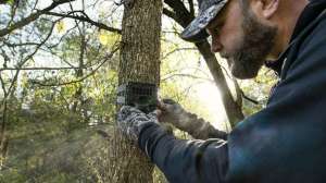 10 Top Trail Cameras beauty