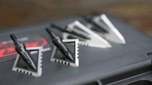 104258995 3225452194153753 551641054035975489 o