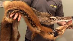 10930909 10102691436656231 5256976800400226455 n