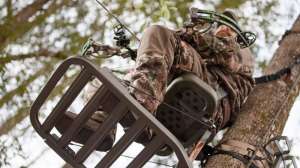 11885644 10153504439929651 2809057930460688124 o