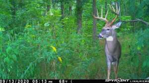 119795294 3845392642155327 5187496141877208123 n