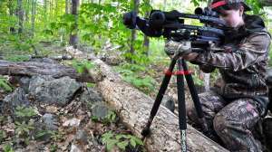 12244767 903548589722186 352426535683729412 o