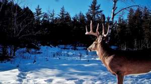 12307958 894301680623000 1242774260274282093 o