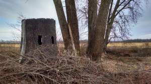 12357100 1099977260013034 3463189854620021291 o