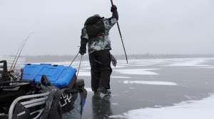 130762726 3541564719293341 8781506459932784278 o