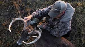 137606799 2872129306445512 1538165572351352815 o