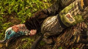 148147780 4043494498996258 1630412655536488296 o