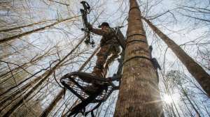 15826265 1197367516996580 5413168777473299430 n