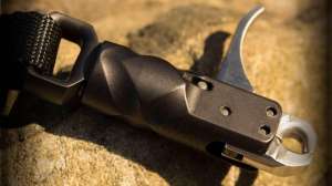 15896120 10154915573716100 3832430372831225876 o