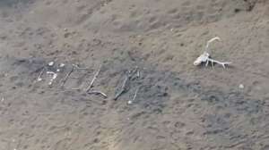 160412 arizona rescue help 707p 2cfa44f2f2a13ee4d4e121d4db5ecad0 nbcnews ux 600 480