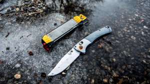 16826156 1411866052177811 5619489127072979948 o