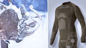 17 High Res 1200x628 copy