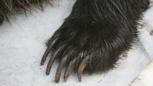 18383d e1436371452805