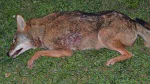 1styote700 181003 162117