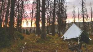 2 Base camp Ellis tent Mia Anstine photo