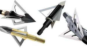 2011 fixed broadhead ab august lead 181003 162018