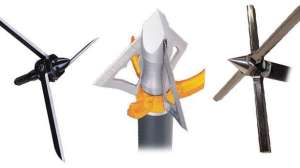 2011 small game turkey ab august lead 181003 154849