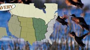 2012 waterfowl migration lead