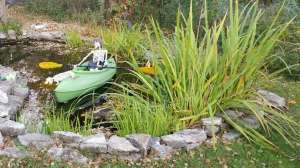 20181013 181407 1024x498