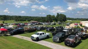 2020 Muzzy Classic beauty