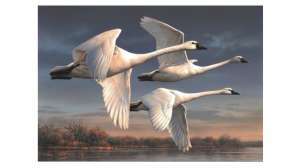 2022 winning duck stamp