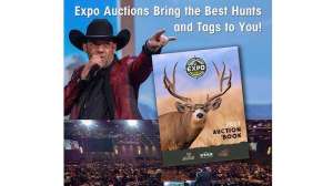 2023 Expo auction pic