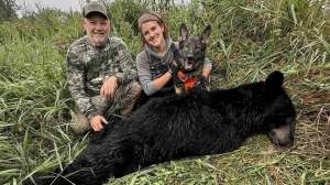 Web 541700034 764322103022639 778716139199069561 n