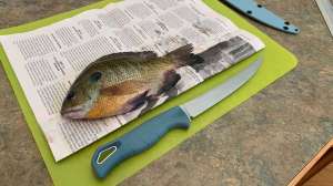 Benchmade lead pic 1