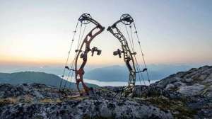 Hoyt bows 2026 lead pic