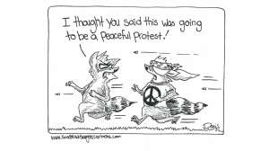 Scattered Thoughts Hippy Hippy Shakes