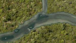 Fall walleyes small rivers