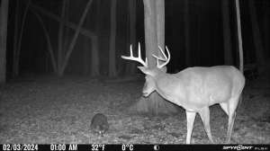 Cropped 480984434 1128708795966800 806920608094552851 n