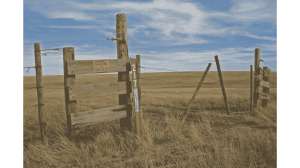 Hunting Those Forgotten Places