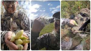 Video wind detectors