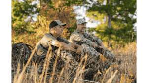 Lead Dog Taking Stock