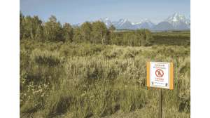 Will Lower 48 Grizzlies Ever Be Hunted