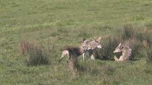 I Stock 955775432 Wendy Jeff Sparks Torquemada