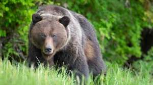 I Stock 1156934044 1