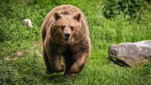 I Stock 1226440805 Zocha K