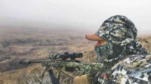 PH593 Fog can sometimes boost the confidence of paranoid predators copyright Mark Kayser