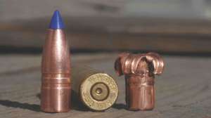 358 180 Barnes Tipped Triple Shock From Hog