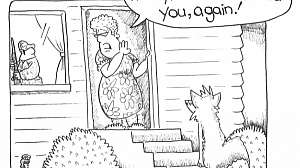 Pain of a Missed Coyote